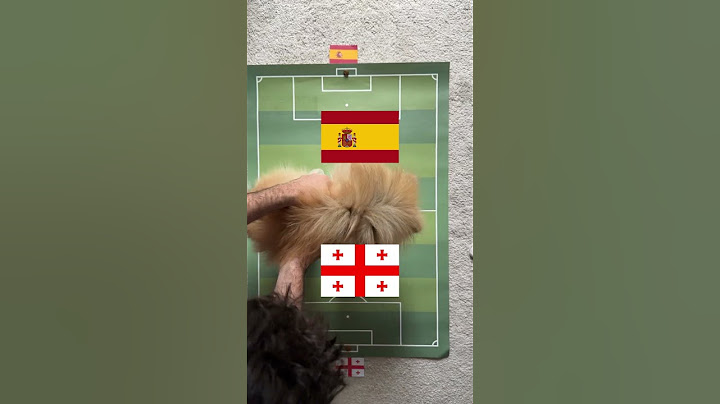 MON CHIEN PRÉDIT LES 8ÈMES DE L'EURO 2024 ! ⚽️