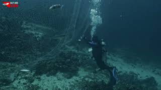 Diving Beatriz and almost got caught by a fishing net DNSC Net Worth