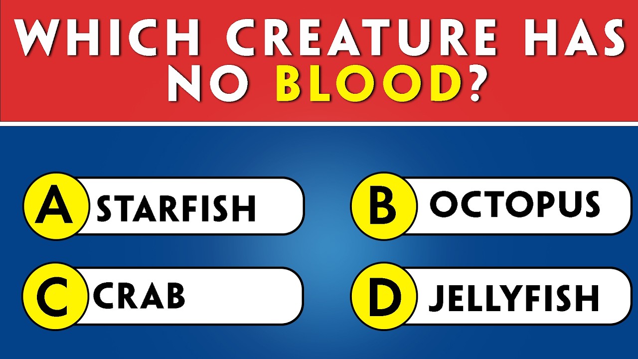 Memory Test Challenge 🧠 40 GK Questions – Score 20+!