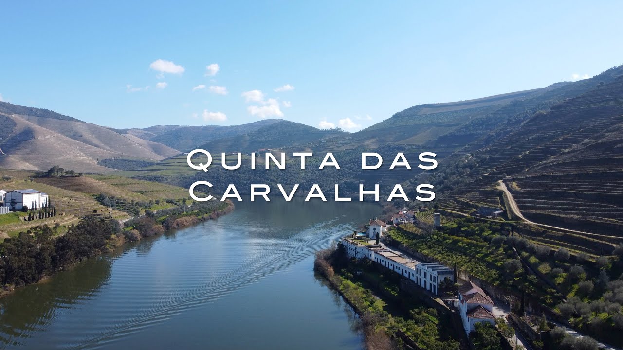 Quinta das Carvalhas (Real Companhia Velha)