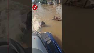 Vice-prefeito de cidade do RS resgata cavalo submerso em Canoas, RS #shorts