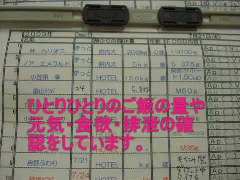 ノア動物病院　ペットホテルご利用案内（八王子病院）