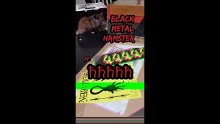 Black Metal Hamster: Open Up