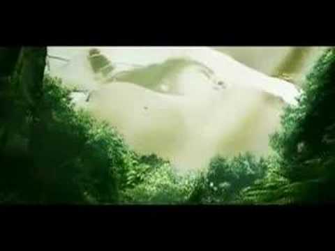 Tyrrell — Tyrrell - LaLaLaLaLaLa  (Zodiac fan video)