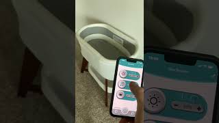 Bliss Bassinet demo