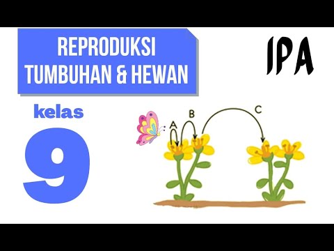 SISTEM REPRODUKSI TUMBUHAN DAN HEWAN: IPA KELAS 9 SMP