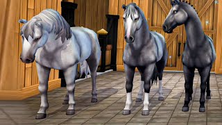More Horses are Getting Deleted in Star Stable Online