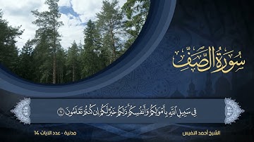 61 | سورة الصف | الشيخ أحمد النفيس