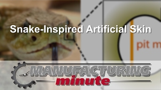 Manufacturing Minute: Snake-Inspired Artificial Skin