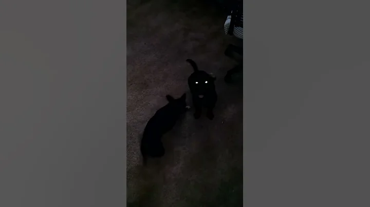 Orbs Yo