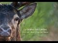 Le Brame des Landes - VF - HD