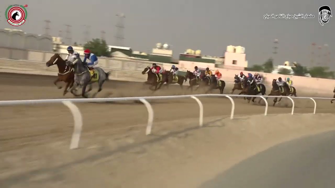 الاجتماع ( 8 ) الشوط ( 2 ) الجواد تجديد  اسطبل الحجرف