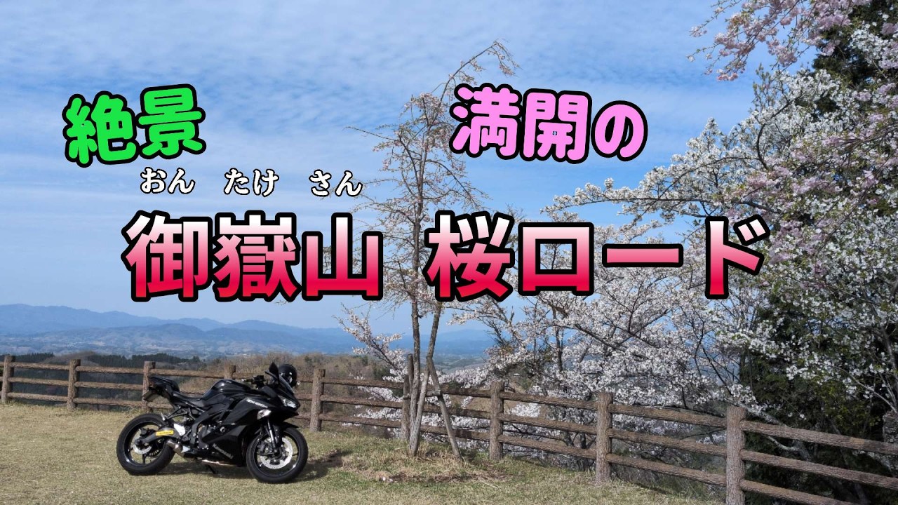 50 山採り　マンサク sddefault.jpg