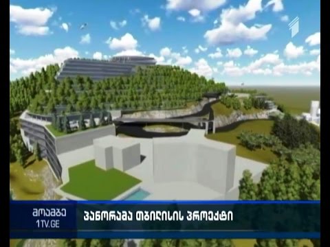 პარტიზანი მებაღეები \"პანორამა-თბილისის\" განხორციელებას აპროტესტებენ