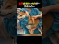 ㊗️1000万再生!!全然余裕のつもりが…まさかの… #ほっこりショート