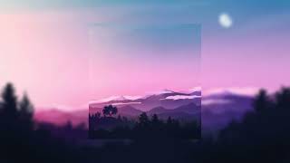 AndiFanti - Evening forest ( Official Audio )#chillmusic #reverbedmusic #cleanbass