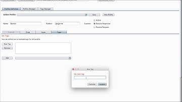 Passive Scanner - Banner Detection with BurpBounty