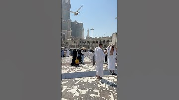 Surah At-Tin{Quran}سورة الـتين #Makkah #Masjid Al Haram