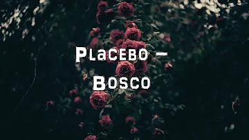 Placebo - Bosco [Acoustic Cover.Lyrics.Karaoke]
