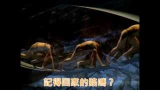 2014高雄春天藝術節-原舞者《Pu'ing‧找路》