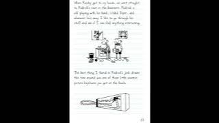 Diary of a Wimpy Kid  Dog Days  Book  4