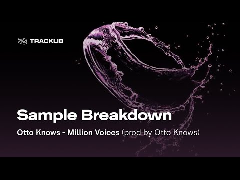 Sample Breakdown: Otto Knows - Million Voices