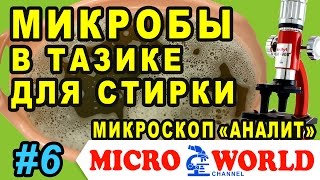 МИКРОБЫ В ТАЗИКЕ ДЛЯ СТИРКИ - MICRO WORLD #6