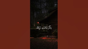 تلاوة ندية للقارئ ماهر أبو ريان