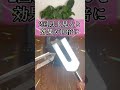 コメントに願いを書いて遠隔ヒーリングを受け取ってください。#恋 #恋愛 #ヒーリング #遠隔ヒーリング #スピリチュアル