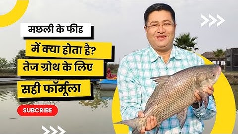 Fish Feed Ingredients Explained | Best Feed for Fish Farming