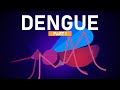 Dengue explained in 5 minutes