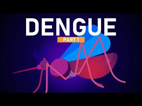 Video: ¿Qué es la dhf en el dengue?