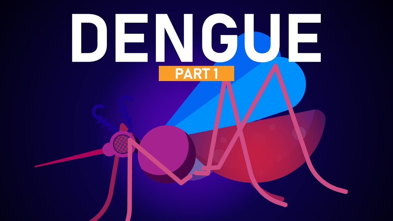 Dengue Explained in 5 Minutes