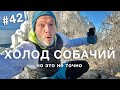 ПОБЕЖАЛИ! бег по Торонто в легкий мороз | жизнь в Канаде