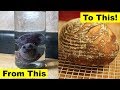 Make Bread From Fruit To Finish Make Bread From Fruit To Finish