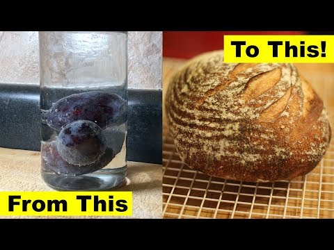 Make bread: From Fruit to Finish