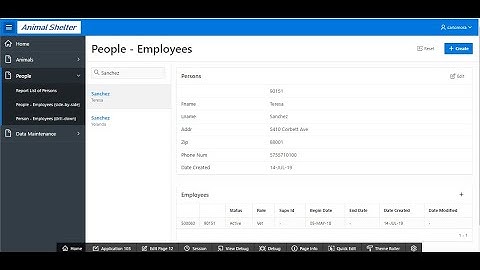 APEX 19.1 14 Create a master-detail form (2 tables) and simple form (1 table)
