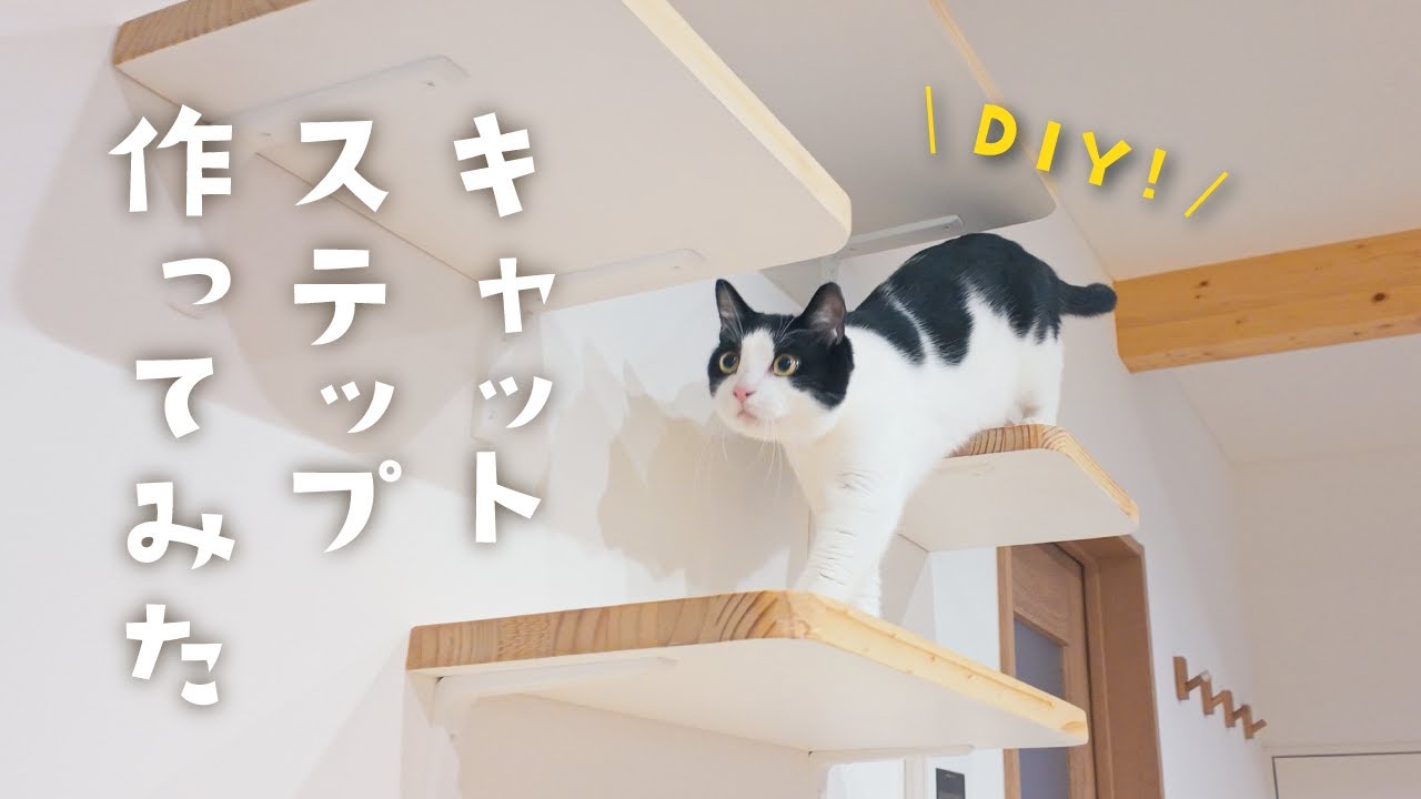猫DIY】保護猫兄弟と暮らすリビングにキャットステップを手作り