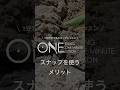 エギングにスナップは必要？スナップを付けるメリット/エギング入門【EGING ONE MINUTE LESSON】