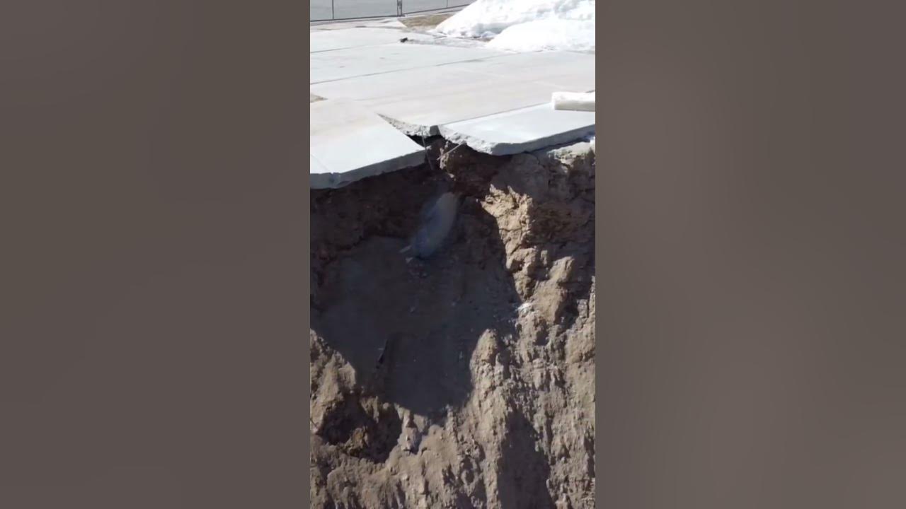 Draper Landslide View to the South Looking Under the Road - YouTube