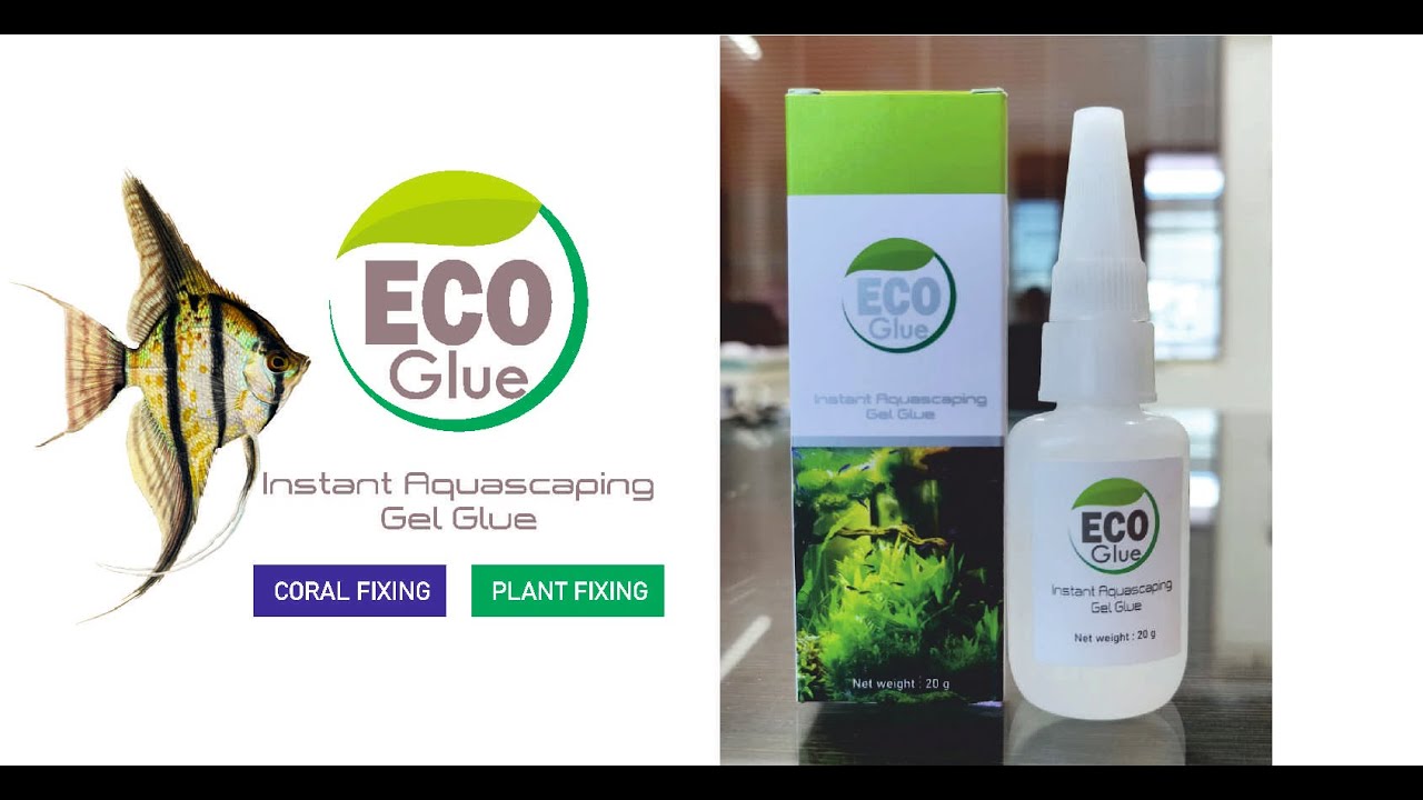 Eco glue - Instant glue for Aquarium Plant Fixing