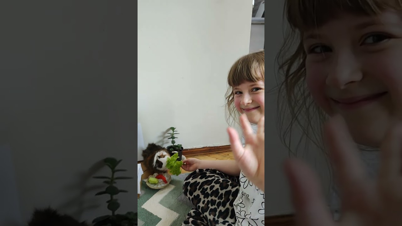 Один день з життя Фросіка