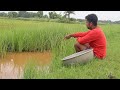 Fishing  amazing hook fishing with beautiful nature  fish catching trap