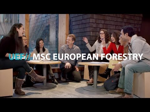 UEF// European Forestry