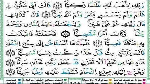 الحزب 31 قال أم أقل لك قراءة الحدر للمراجعة والتثبيت  برواية ورش على وقف الهبطي   عبد الله المحمدي