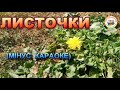 ЛИСТОЧКИ МІНУС КАРАОКЕ