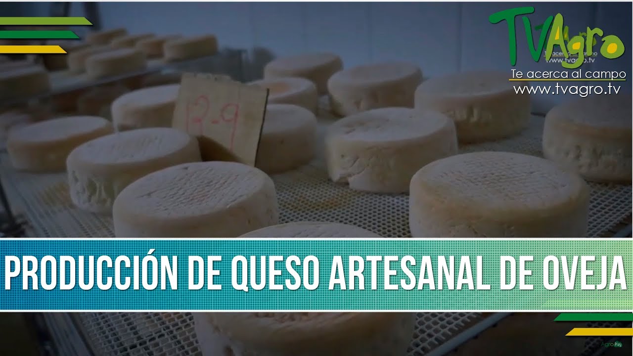 Como Producir Queso Artesanal de Oveja - TvAgro por Juan Gonzalo Angel