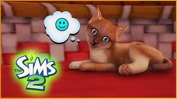 ULTRA-HOOD LEGACY // BITVILLE | SIMS 2 | PART 189 🐱 (Streamed on 4/15/2022)