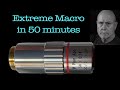 Extreme macro photography in 50 minutes  allan walls photography