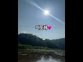 햇살이 따뜻💕 실시간 남경수목원